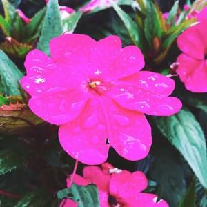 Meet your Posher, Jana